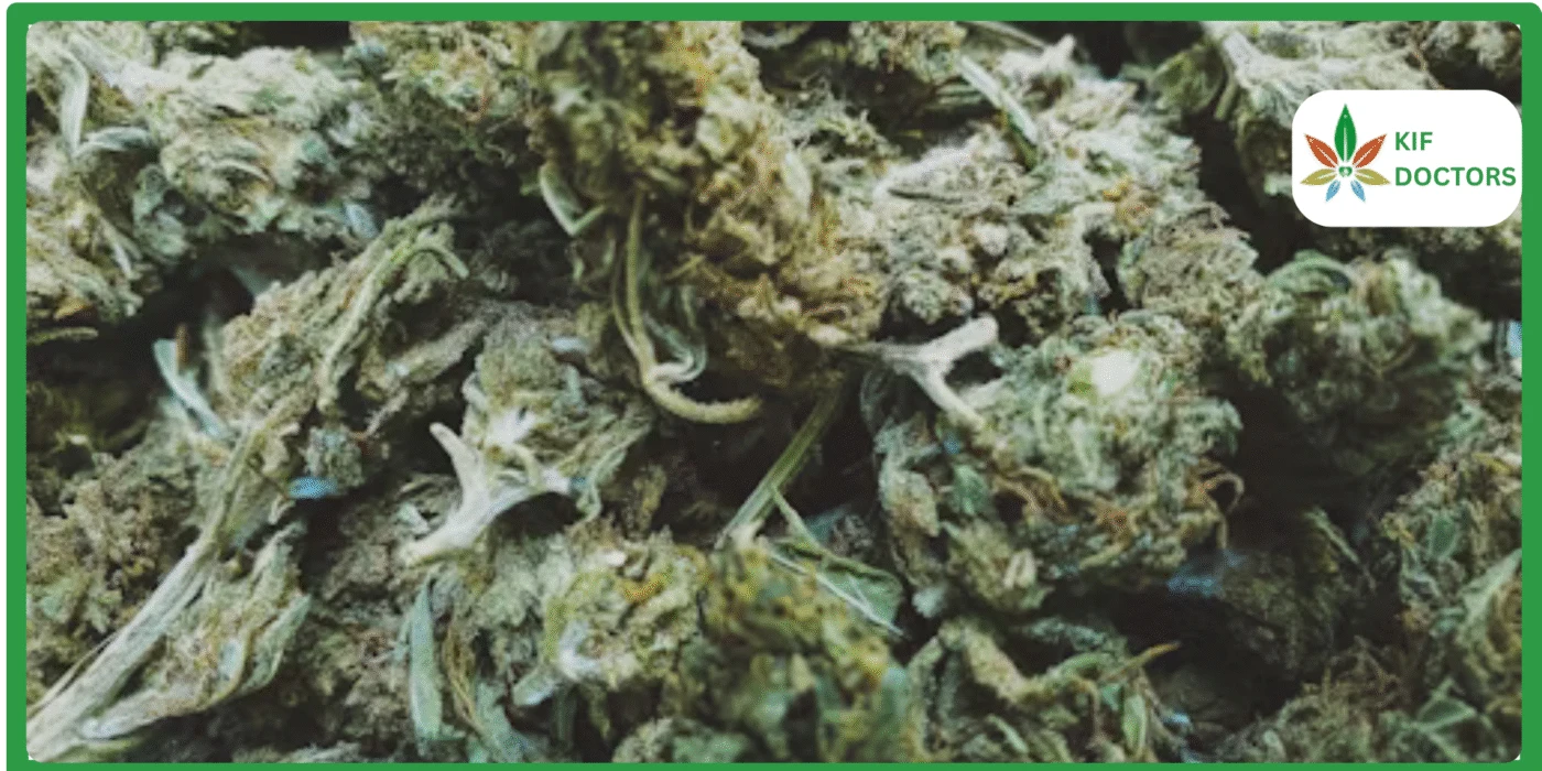 Is Weed Legal in New York Guide to Cannabis Laws in New York