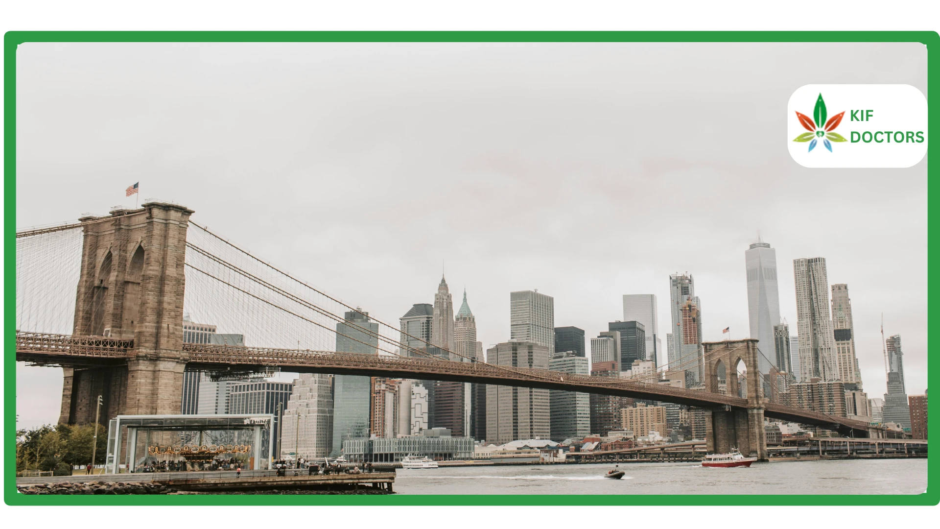 7 Reasons You Should Get a New York Medical Marijuana Card