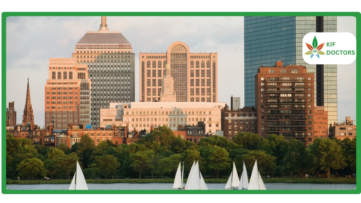 Gun Ownership for MMJ Patients in Massachusetts