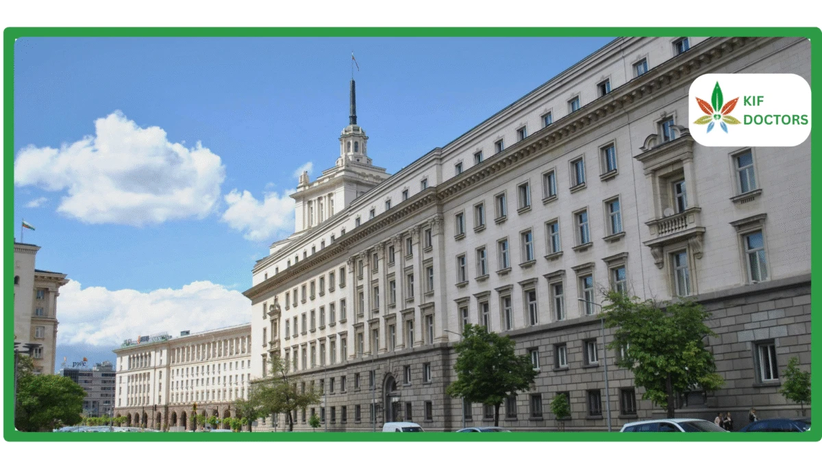 List of Jobs You Can Get with a Medical Marijuana Card in Louisiana