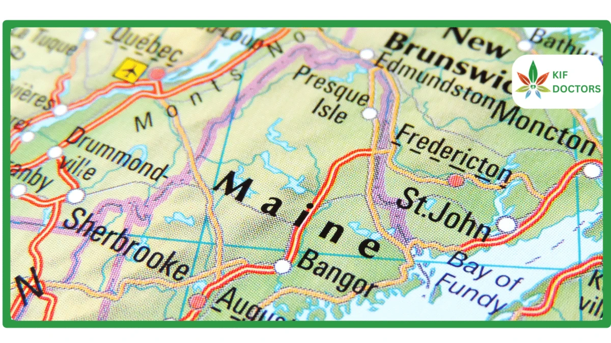 List of Jobs You Can Get with a Medical Marijuana Card in Maine