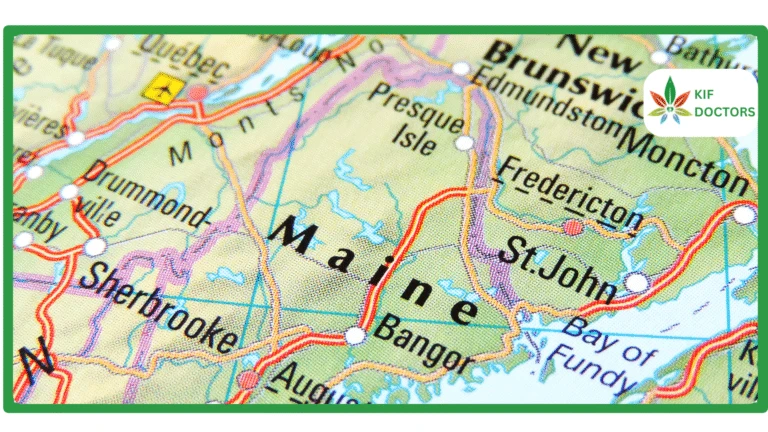 List of Jobs You Can Get with a Medical Marijuana Card in Maine