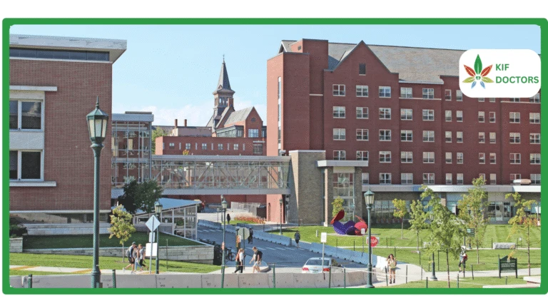 Vermont Medical Marijuana Card Process (2026) How to Get a Legit MMJ Card