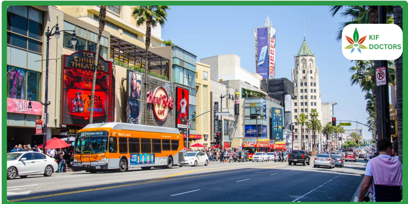The Benefits of California's Medical Cannabis Program