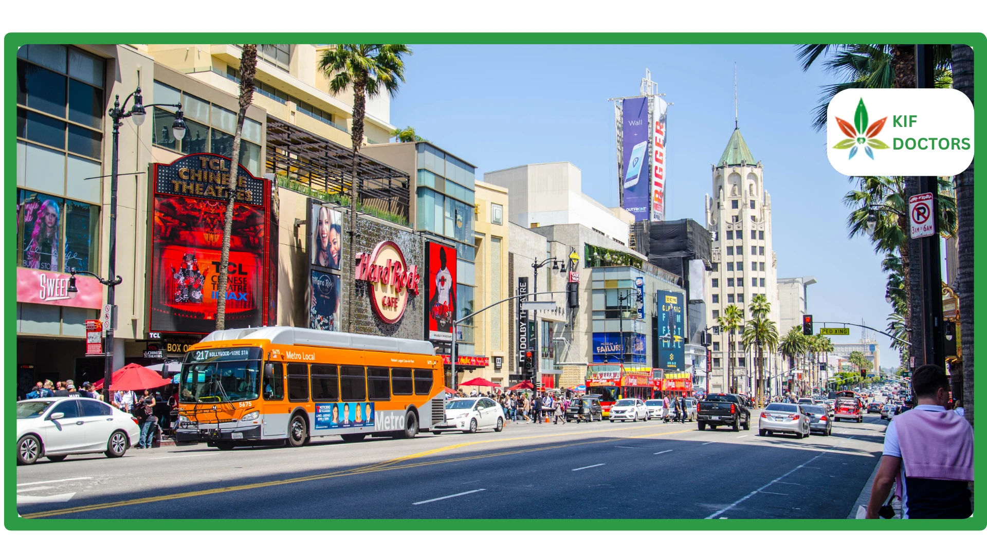 The Benefits of California's Medical Cannabis Program