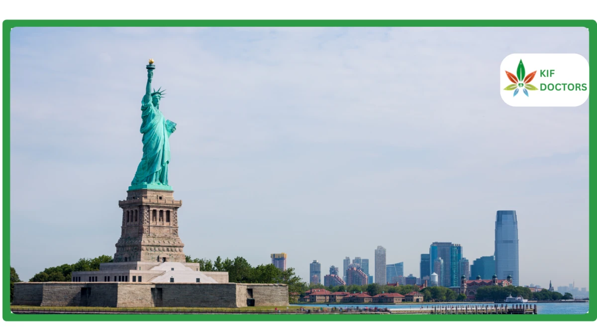 The Benefits of New York's Medical Cannabis Program